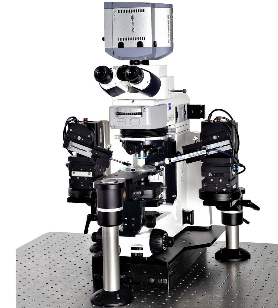Patch clamp rig