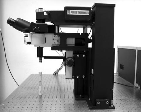 Two-photon imaging rig